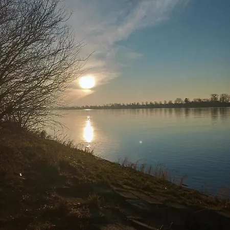 Mickiewiczowka * Mikoszewo