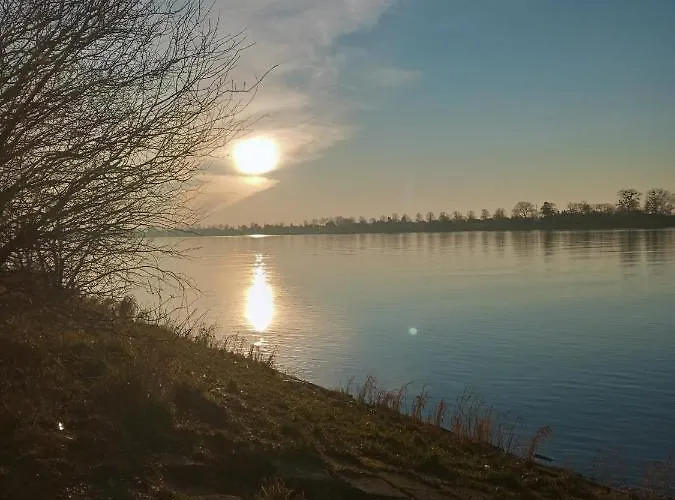 Mickiewiczowka * Mikoszewo